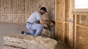 Types of Insulation We Offer in Grandwood Park, IL